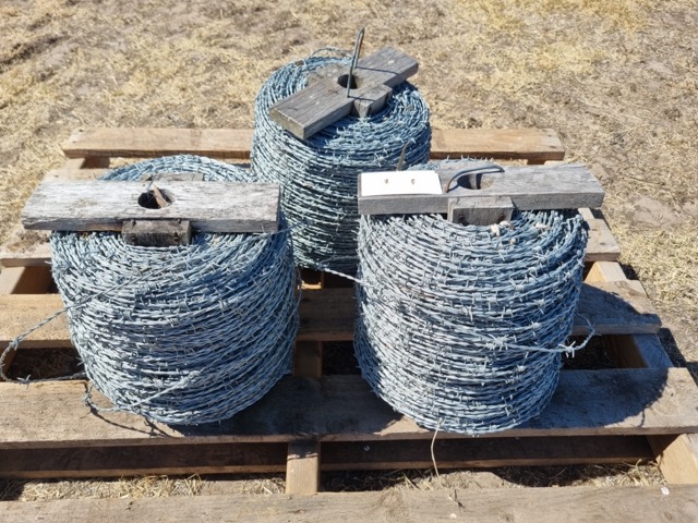 041 Barb wire 1 Medium