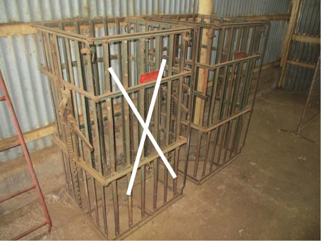 13Abb