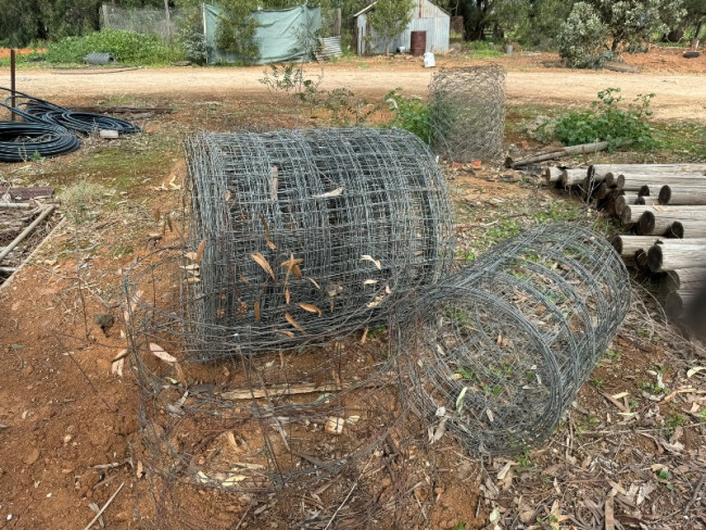 Ringlock fencing