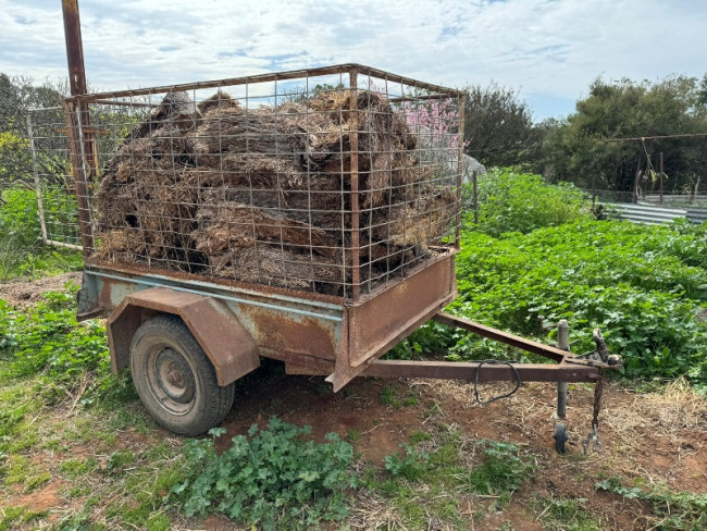 Trailer 6x4 with hurdles 1