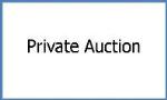 Private Auction v2